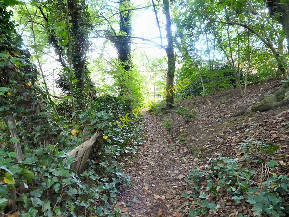 Photo 6"x4" Godley Hill Footpath Hyde\/SJ9494 c2011
