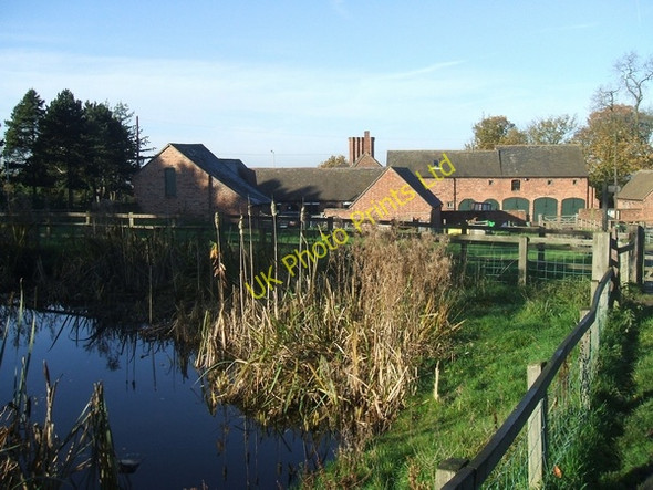 Photo 6"x4" Nature Pool at Northicote Farm Bushbury\/SJ9203 c2006