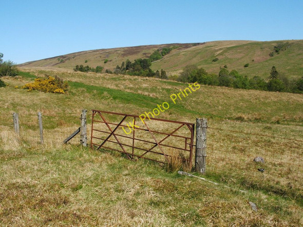 Photo 6"x4" Gate near Square Wood Dumbarton c2011