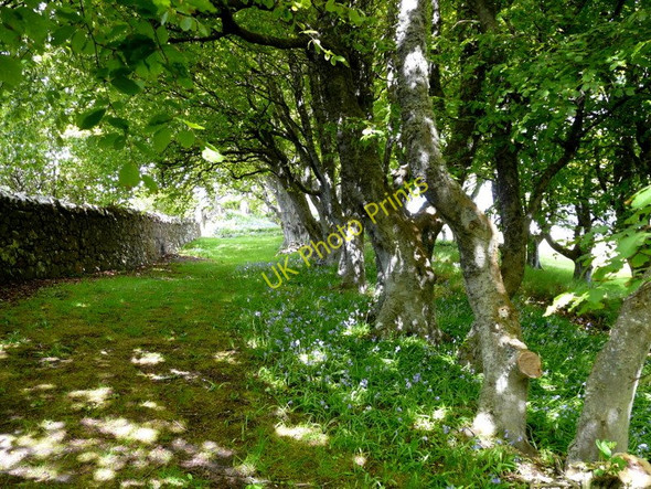 Photo 6"x4" Garden path at Navidale House Hotel East Helmsdale c2011