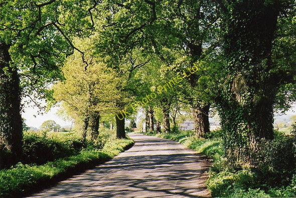 Photo 6"x4" Uffculme: road near Bradfield Bradfield\/ST0509 c2003