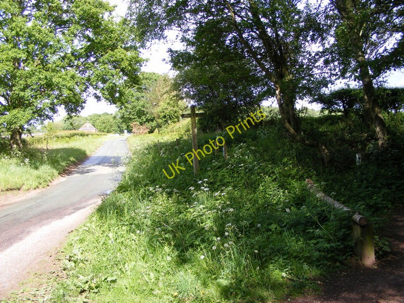 Photo 6"x4" Highgate Signpost Gospel Ash c2011