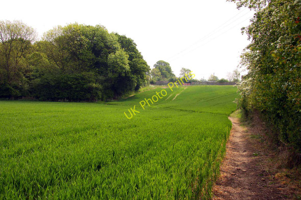 Photo 6"x4" Footpath to Holton Forest Hill\/SP5807 c2011