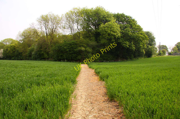 Photo 6"x4" Footpath through the field Forest Hill\/SP5807 c2011