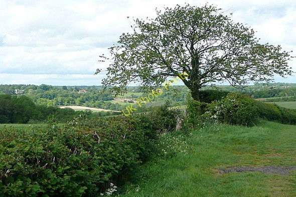 Photo 6"x4" View from Cadmore End Cadmore End c2011