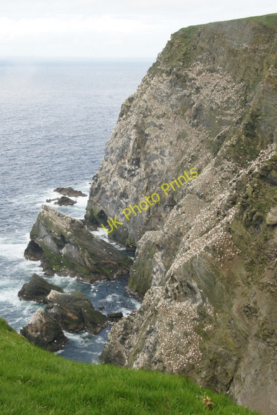 Photo 6"x4" The Neap, Hermaness, from the south Burrafirth c2011