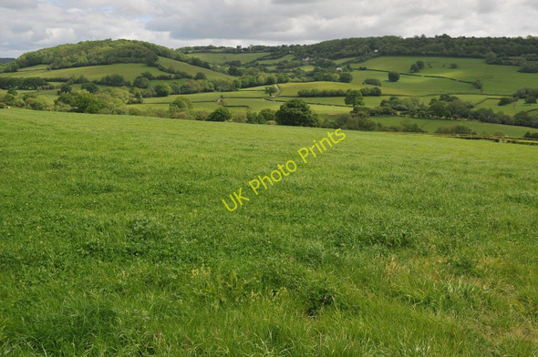 Photo 6"x4" Farmland at Llangovan Llangovan c2011