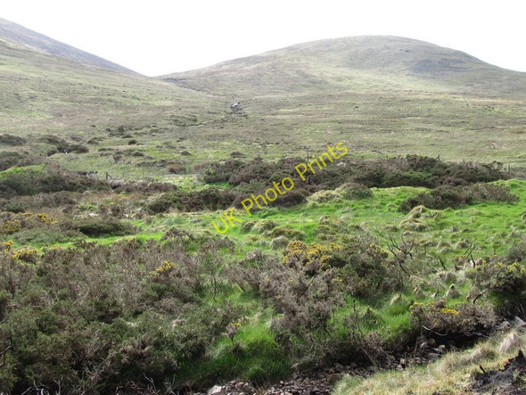 Photo 6"x4" Moorland above Fofanny Reservoir Kilcoo c2011