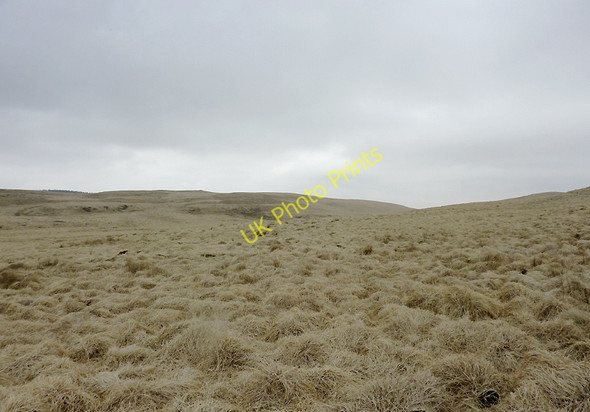 Photo 6"x4" Moorland  near Esgair Hir, Ceredigion Doethie Fach c2011