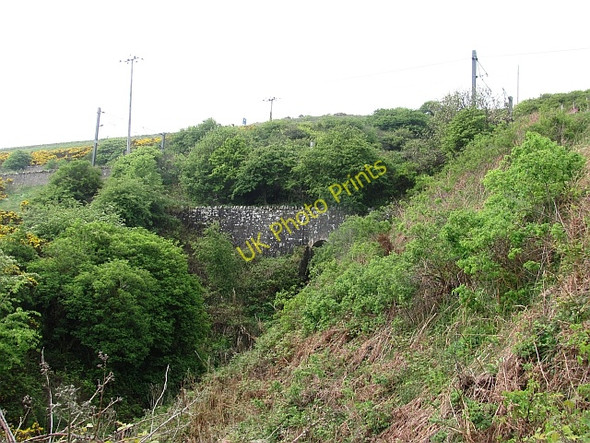 Photo 6"x4" Burn above Cowdrait Burnmouth\/NT9561 c2011