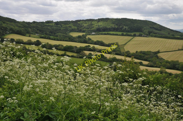 Photo 6"x4" View from Gaer-fawr Gaer-fawr c2011