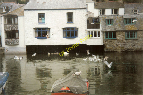 Photo 6"x4" Feeding time at Polperro Harbour Polperro c1991