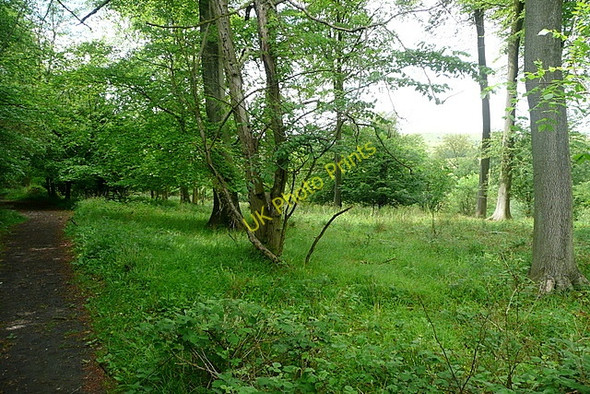 Photo 6"x4" Bridleway in Mousell's Wood Goddards c2011