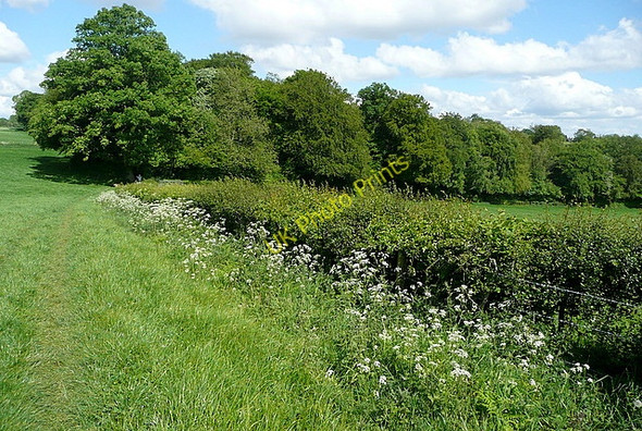 Photo 6"x4" Towards Long Copse Bolter End c2011