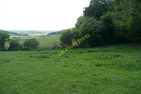 Photo 6"x4" Pasture at Bolter End Cadmore End c2011
