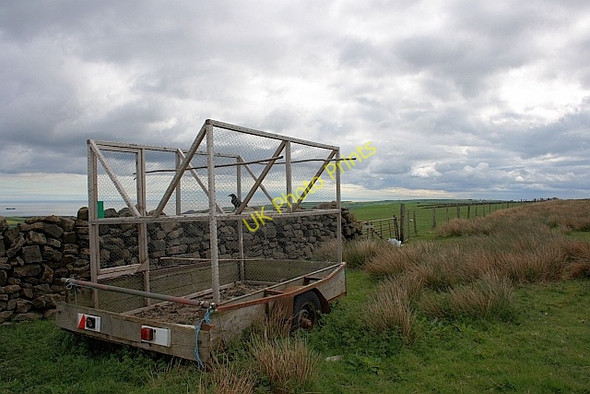 Photo 6"x4" Ladder Trap Borrowby\/NZ7715 c2011