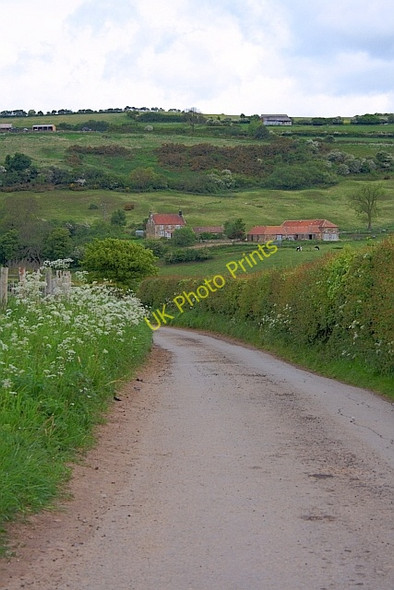 Photo 6"x4" Low Borrowby Borrowby\/NZ7715 c2011