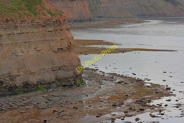 Photo 6"x4" Cliffs and Shore below Cowbar Lane Staithes c2011