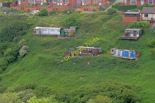 Photo 6"x4" Pigeon Crees on the Side of Staithes Beck Staithes c2011