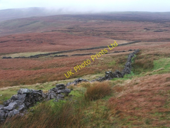 Photo 6"x4" Cowen Brow. Oughtershaw c2006