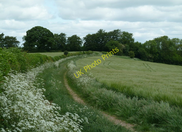 Photo 6"x4" Footpath to Bramley Vale Ault Hucknall c2011