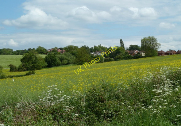 Photo 6"x4" Field below Glapwell Bramley Vale c2011
