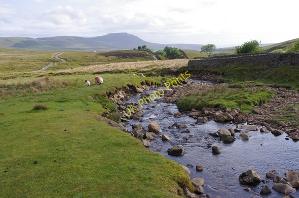 Photo 6"x4" Force Gill Ribble Head\/SD7779 c2011