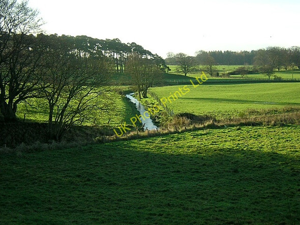 Photo 6"x4" Burn Near Damhill Farm Lanark c2006