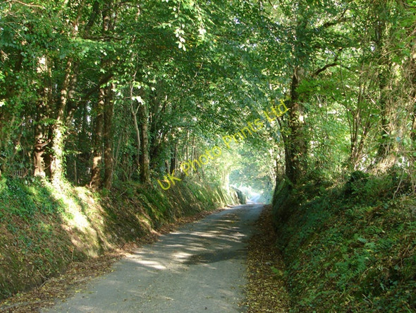 Photo 6"x4" Country lane near Llanilar Llanilar c2006