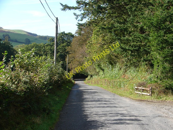 Photo 6"x4" Lane near Llanafan Crosswood\/Trawsgoed c2006
