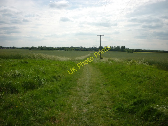 Photo 6"x4" A path leading to Haxby East Lound c2011