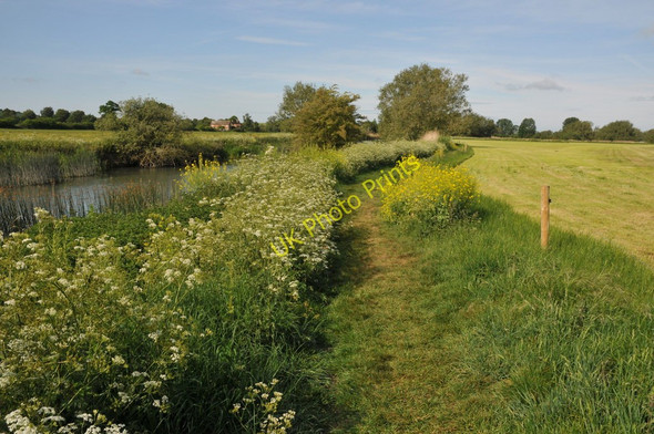 Photo 6"x4" River Thames near Buscot Wharf Lechlade on Thames c2011