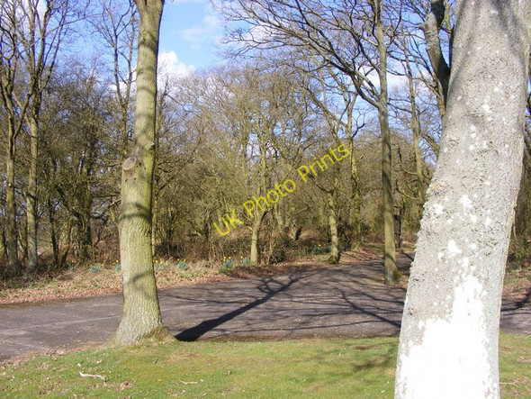 Photo 6"x4" Hill Fort View Ebreywood c2011