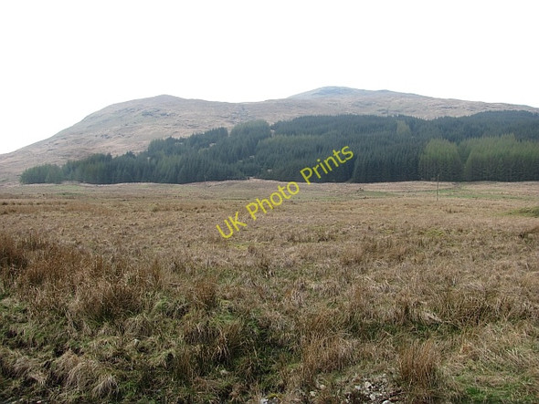 Photo 6"x4" Rough grazing, Glen Forsa Salen c2011