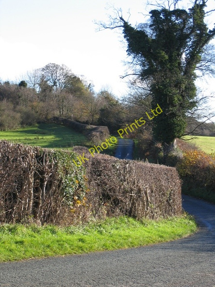 Photo 6"x4" Country Lane near Bryn-yr-eithin Sydallt c2006