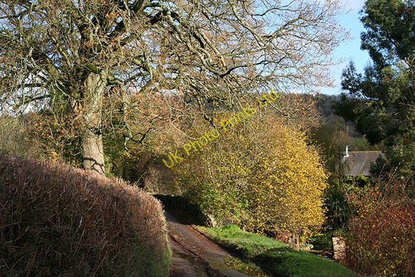 Photo 6"x4" Offwell: Hayne Lane Cleave\/ST2000 c2006