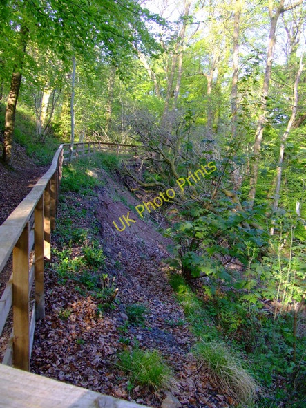 Photo 6"x4" Landslip in Daff Glen Inverkip c2011