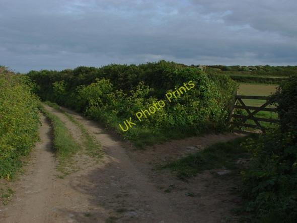 Photo 6"x4" Footpath to Dodman Point Gorran Haven c2011 P1