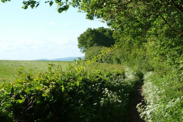 Photo 6"x4" Footpath south of Dronfield Dronfield c2011