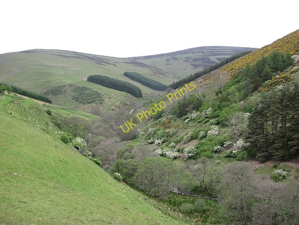 Photo 6"x4" Gate Hope Holylee c2011