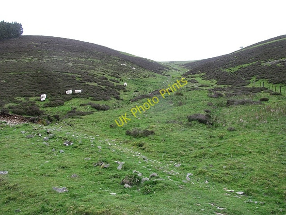 Photo 6"x4" Slade Syke Walkerburn c2011