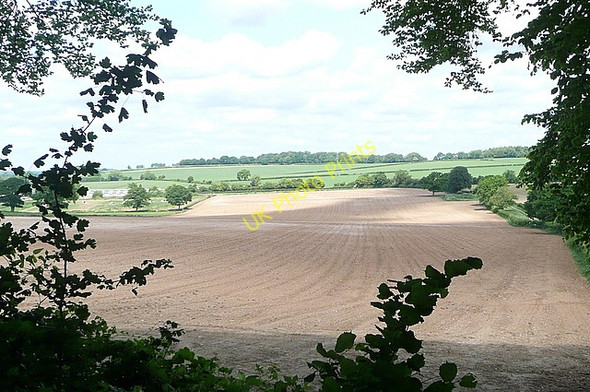 Photo 6"x4" Farmland near Cheriton Cheriton\/SU5828 c2011