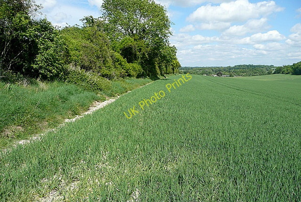Photo 6"x4" Fields near Tichborne Tichborne c2011