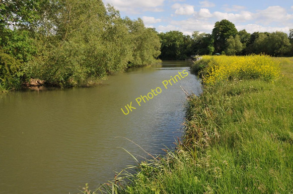 Photo 6"x4" River Thames near Newbridge Brighthampton c2011