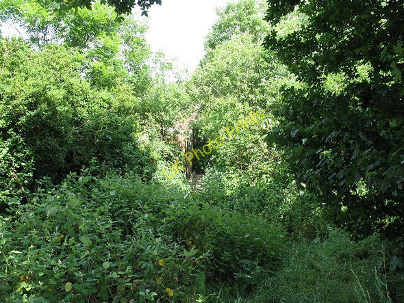 Photo 6"x4" Overgrown footpath Waltham Abbey c2011