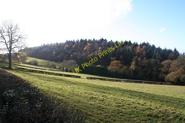 Photo 6"x4" Raven Hill Wood Coddington\/SO7142 c2006