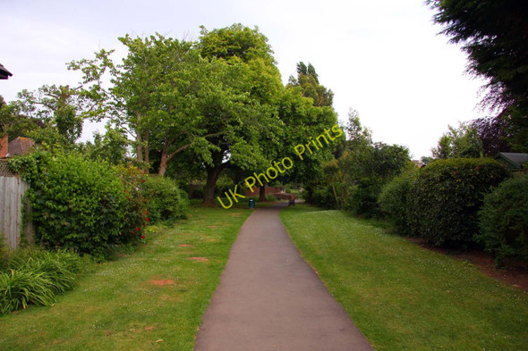 Photo 6"x4" The Parks Walk in Minehead Minehead c2011