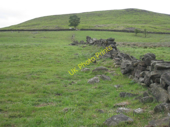 Photo 6"x4" Disappearing field boundary Westerdale\/NZ6605 c2011