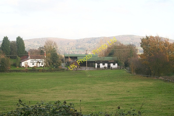 Photo 6"x4" Pithouse Farm Coddington\/SO7142 c2006