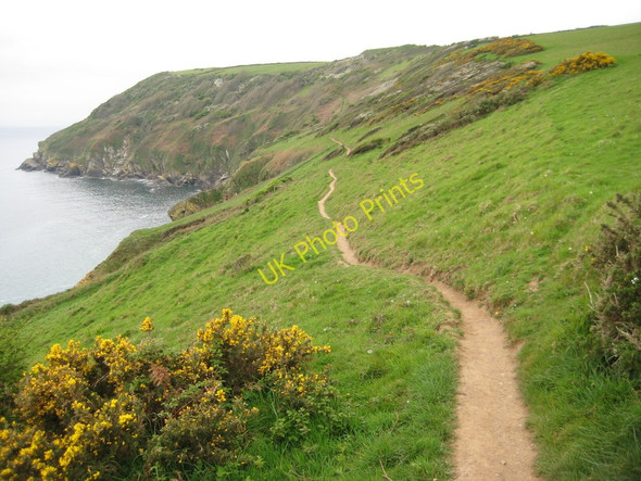 Photo 6"x4" Coast path above Lantic Bay Fowey c2011